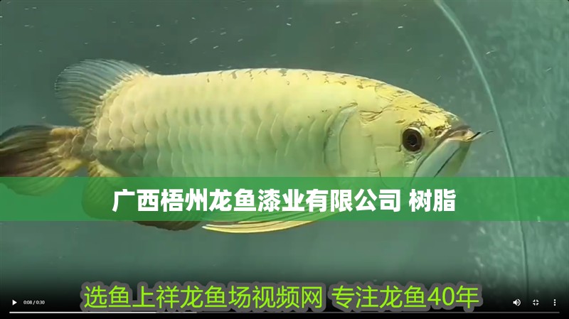 廣西<strong><mark>梧州</mark></strong>龍魚漆業(yè)有限公司 樹脂