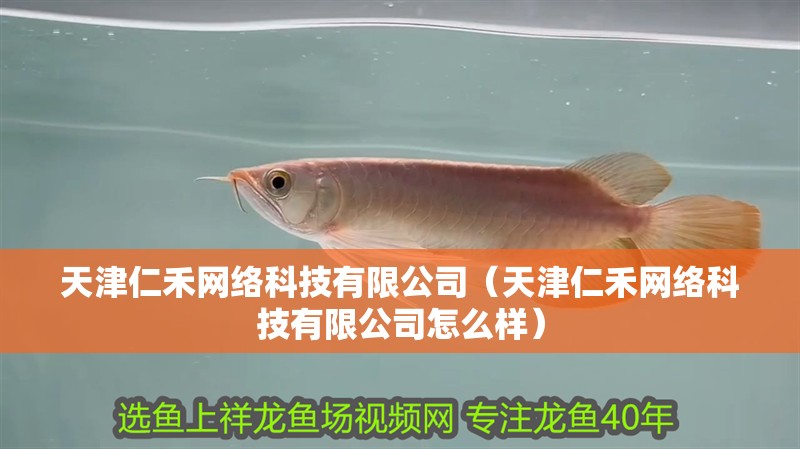 天津仁禾網(wǎng)絡科技有限公司（天津仁禾網(wǎng)絡科技有限公司怎么樣）