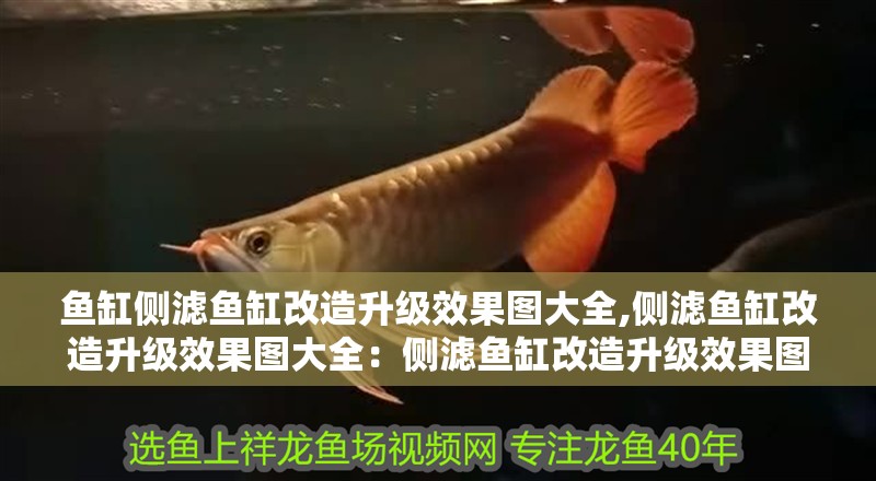 魚缸側(cè)濾魚缸改造升級效果圖大全,側(cè)濾魚缸改造升級效果圖大全：側(cè)濾魚缸改造升級效果圖