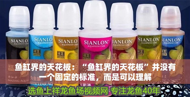 魚缸界的天花板：“魚缸界的天花板”并沒有一個固定的標準，而是可以理解