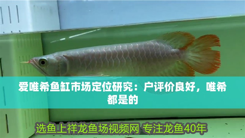 愛唯希魚缸市場定位研究：戶評價良好，唯希都是的