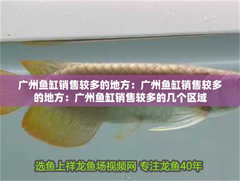 廣州魚缸銷售較多的地方：廣州魚缸銷售較多的地方：廣州魚缸銷售較多的幾個區域