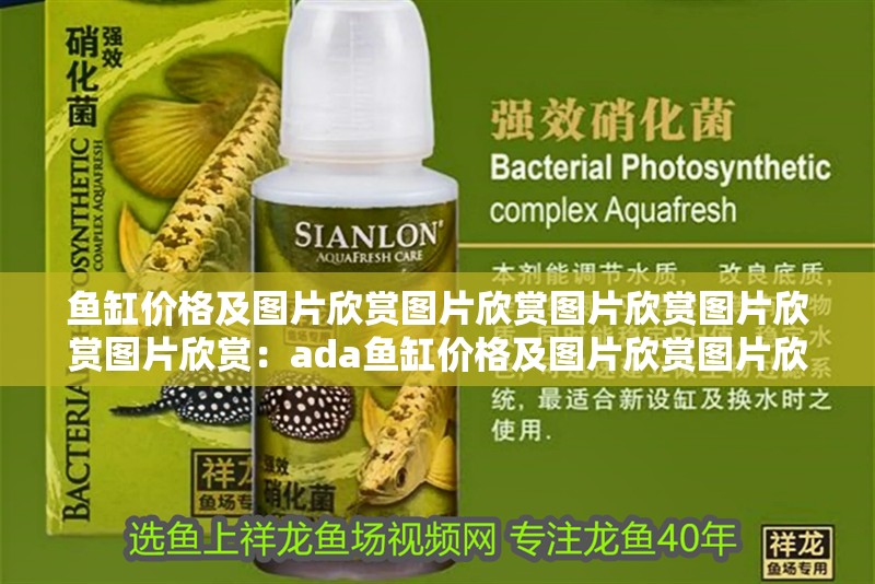魚缸價格及圖片欣賞圖片欣賞圖片欣賞圖片欣賞圖片欣賞：ada魚缸價格及圖片欣賞圖片欣賞圖片欣賞圖片欣賞