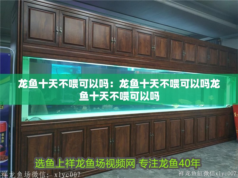 龍魚十天不喂可以嗎：龍魚十天不喂可以嗎龍魚十天不喂可以嗎