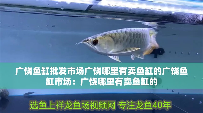 廣饒魚缸批發市場廣饒哪里有賣魚缸的廣饒魚缸市場：廣饒哪里有賣魚缸的