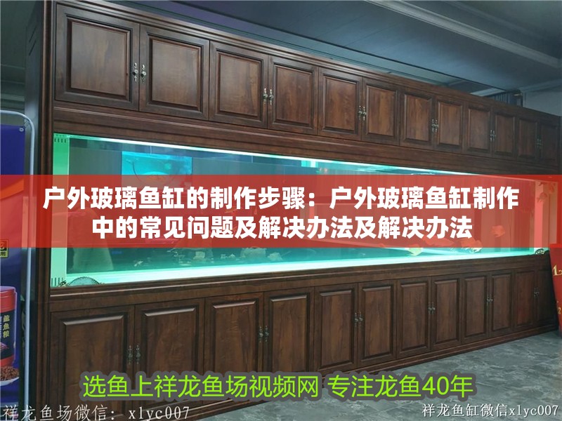 戶外玻璃魚缸的制作步驟：戶外玻璃魚缸制作中的常見問題及解決辦法及解決辦法