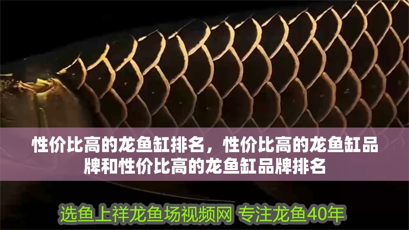 性價比高的龍魚缸排名，性價比高的龍魚缸品牌和性價比高的龍魚缸品牌排名