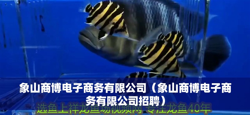 象山商博電子商務(wù)有限公司（象山商博電子商務(wù)有限公司招聘）