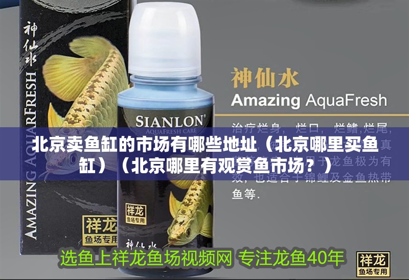 北京賣魚缸的市場有哪些地址（北京哪里買魚缸）（北京哪里有觀賞魚市場？）