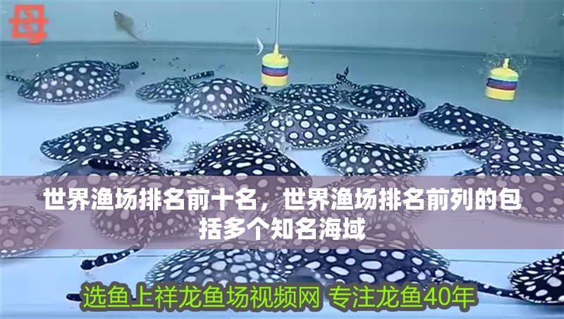 世界漁場(chǎng)排名前十名，世界漁場(chǎng)排名前列的包括多個(gè)知名海域