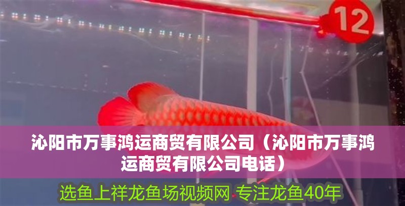 沁陽市萬事鴻運商貿有限公司（沁陽市萬事鴻運商貿有限公司電話）