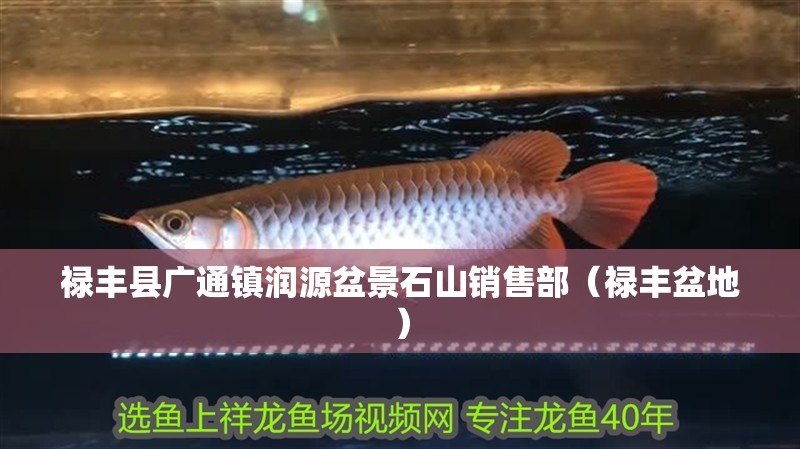 祿豐縣廣通鎮潤源盆景石山銷售部（祿豐盆地）