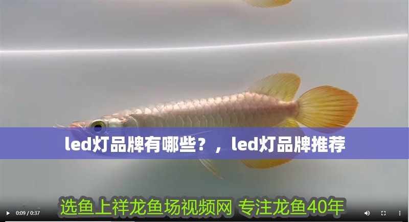 led燈品牌有哪些？，led燈品牌推薦