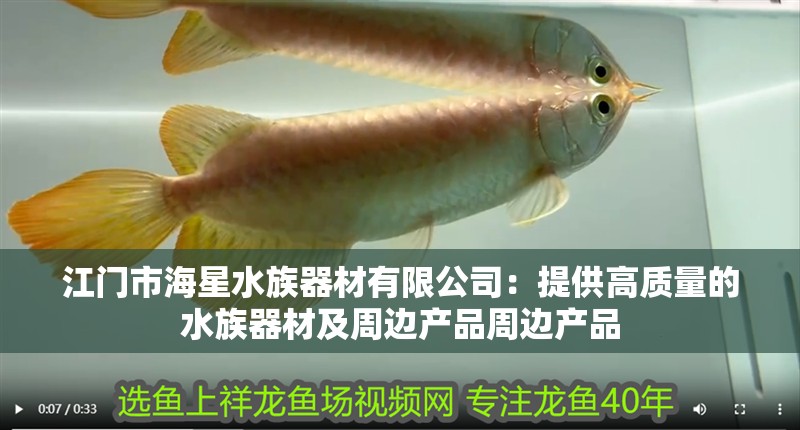 江門(mén)市海星水族器材有限公司：提供高質(zhì)量的水族器材及周邊產(chǎn)品周邊產(chǎn)品