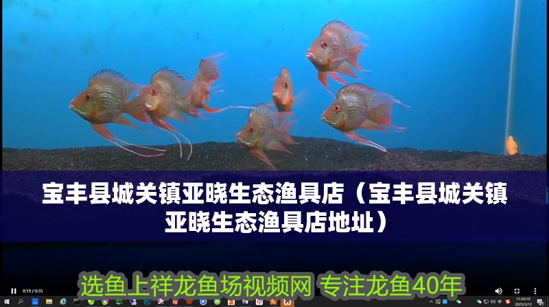 寶豐縣城關(guān)鎮(zhèn)亞曉生態(tài)漁具店（寶豐縣城關(guān)鎮(zhèn)亞曉生態(tài)漁具店地址）