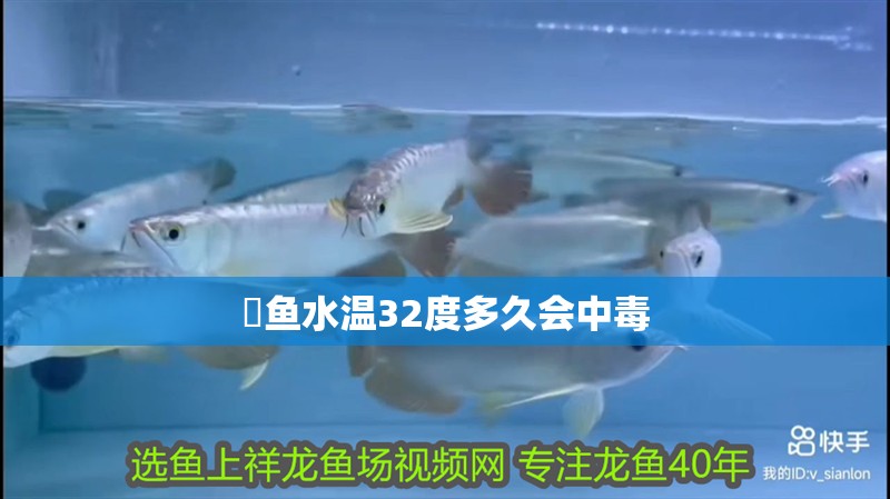 魟魚水溫32度多久會中毒