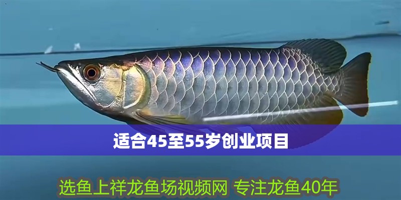 適合45至55歲創業項目