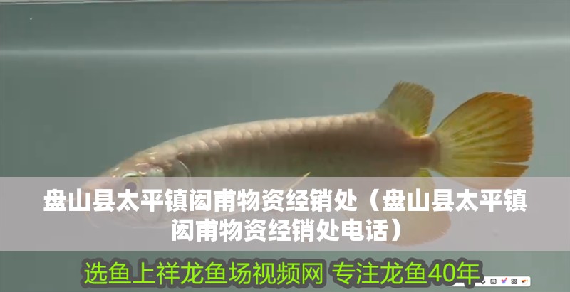 盤山縣太平鎮(zhèn)閎甫物資經(jīng)銷處（盤山縣太平鎮(zhèn)閎甫物資經(jīng)銷處電話）