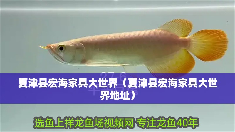 夏津縣宏海家具大世界（夏津縣宏海家具大世界地址）