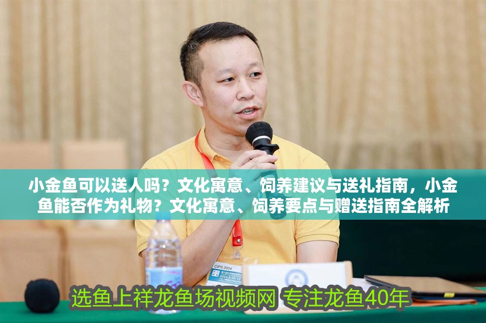 小金魚可以送人嗎？文化寓意、飼養建議與送禮指南，小金魚能否作為禮物？文化寓意、飼養要點與贈送指南全解析