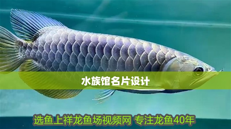 水族館名片設(shè)計(jì) 水族館名片設(shè)計(jì) 龍魚論壇