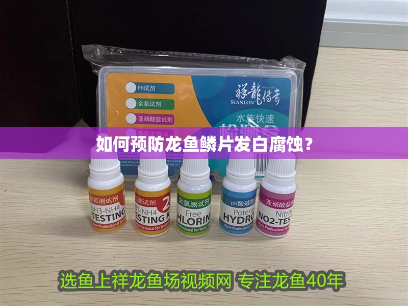 如何預防龍魚鱗片發白腐蝕？