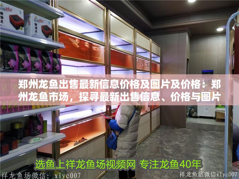 鄭州龍魚出售最新信息價格及圖片及價格：鄭州龍魚市場，探尋最新出售信息、價格與圖片全攻略 鄭州龍魚出售最新信息價格及圖片及價格：鄭州龍魚市場，探尋最新出售信息、價格與圖片全攻略 龍魚百科 第1張