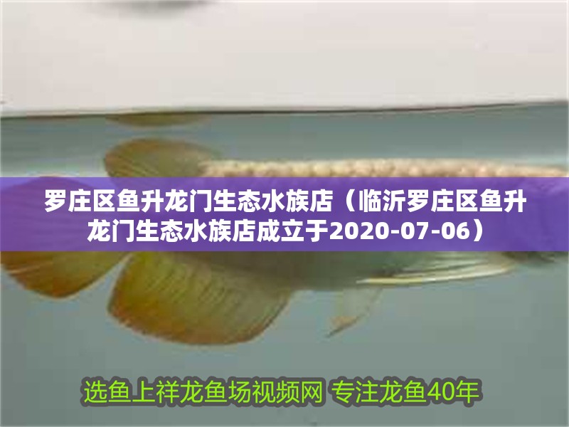羅莊區魚升龍門生態水族店（臨沂羅莊區魚升龍門生態水族店成立于2020-07-06）