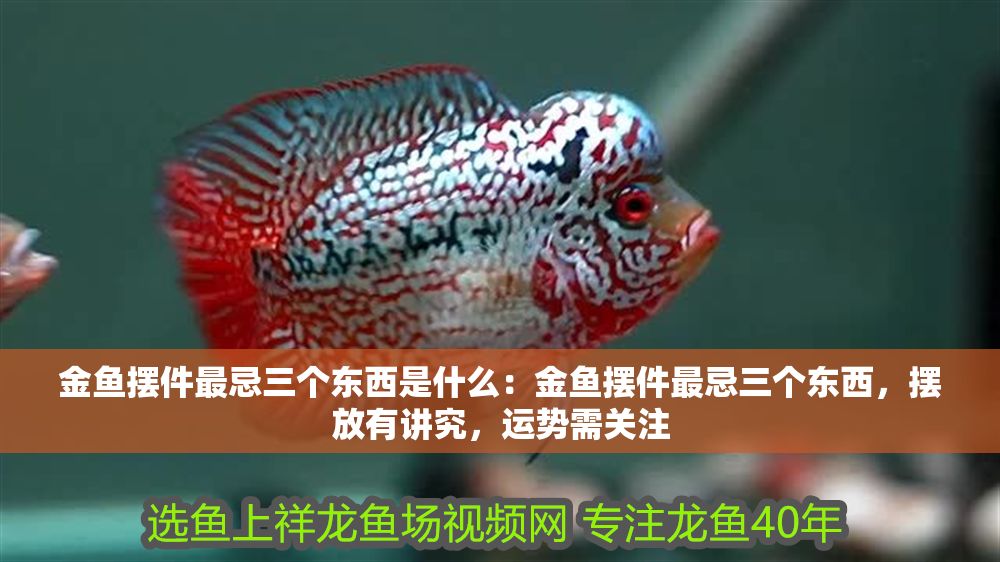 金魚擺件最忌三個東西是什么：金魚擺件最忌三個東西，擺放有講究，運勢需關注