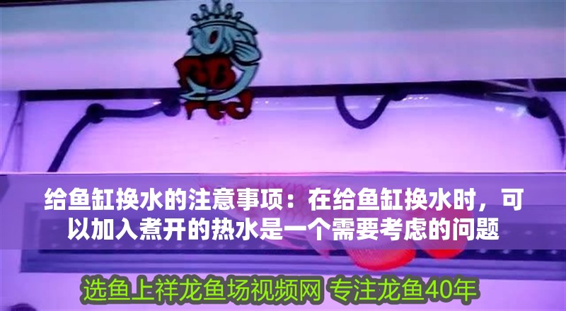 給魚缸換水的注意事項：在給魚缸換水時，可以加入煮開的熱水是一個需要考慮的問題