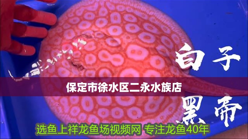 保定市徐水區(qū)二永水族店