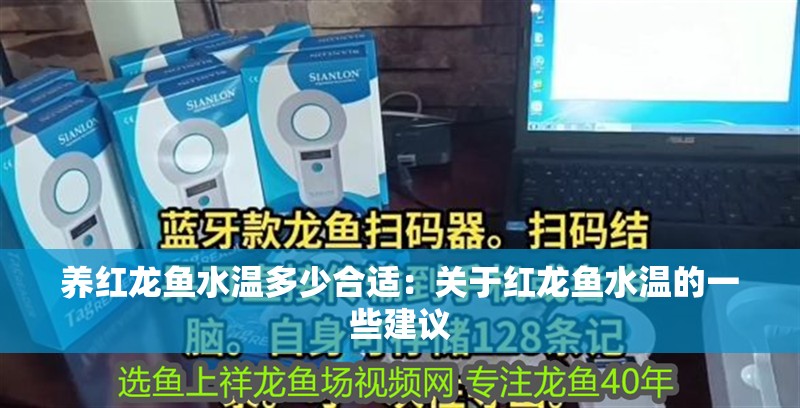 養紅龍魚水溫多少合適：關于紅龍魚水溫的一些建議