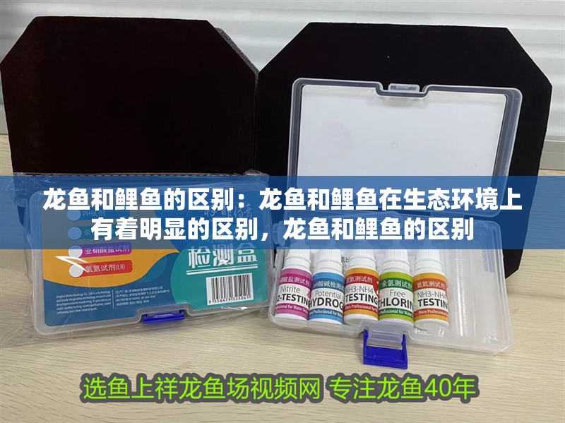 龍魚和鯉魚的區別：龍魚和鯉魚在生態環境上有著明顯的區別，龍魚和鯉魚的區別