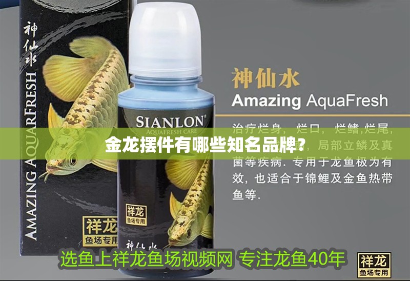 金龍擺件有哪些知名品牌？