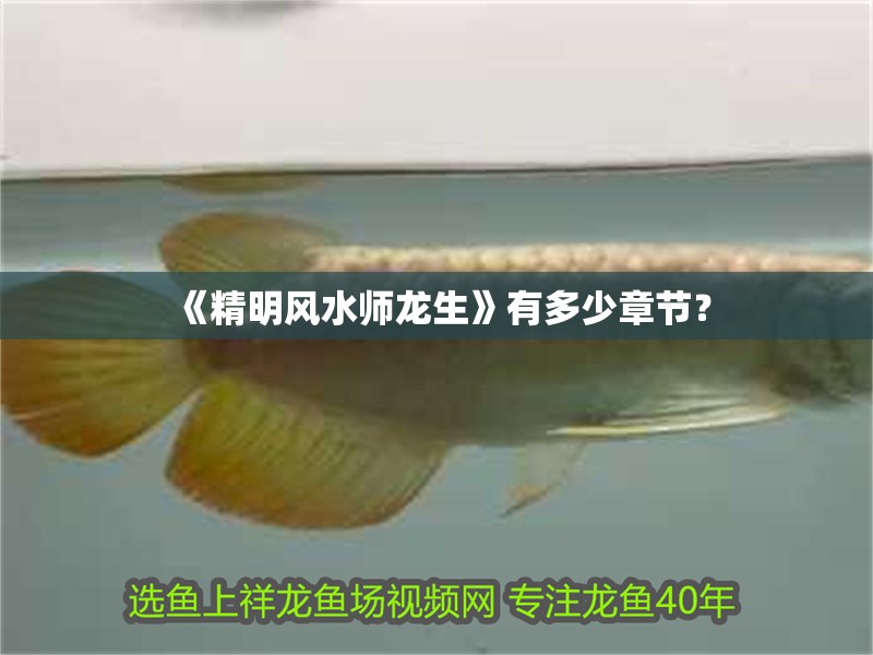 《精明風水師龍生》有多少章節？