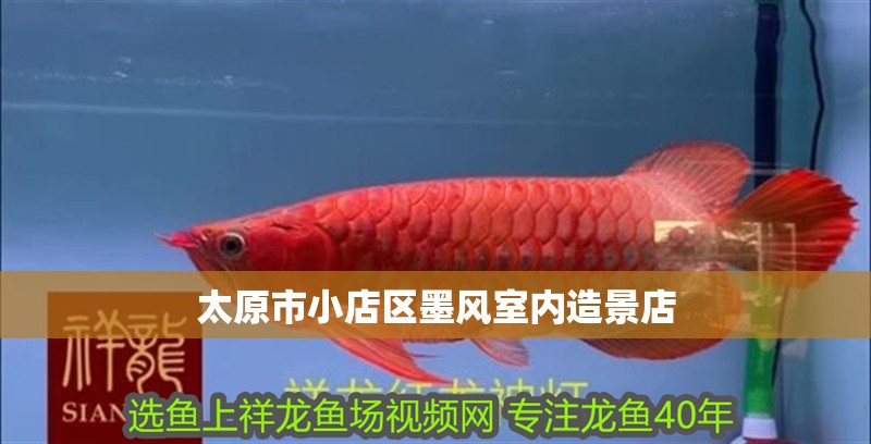 太原市小店區(qū)墨風(fēng)室內(nèi)造景店