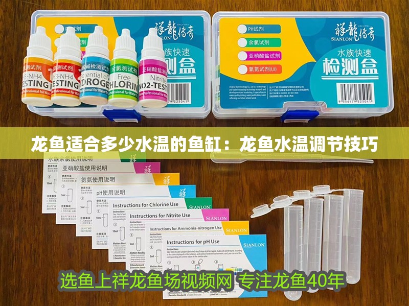 龍魚適合多少水溫的魚缸：龍魚水溫調節技巧