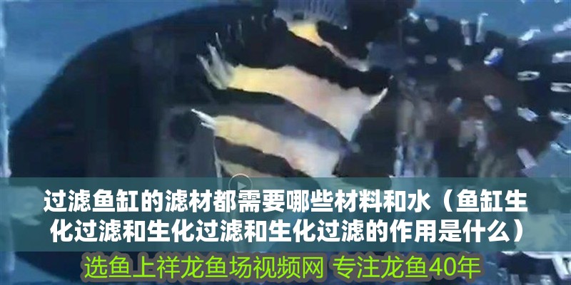 過(guò)濾魚(yú)缸的濾材都需要哪些材料和水（魚(yú)缸生化過(guò)濾和生化過(guò)濾和生化過(guò)濾的作用是什么）