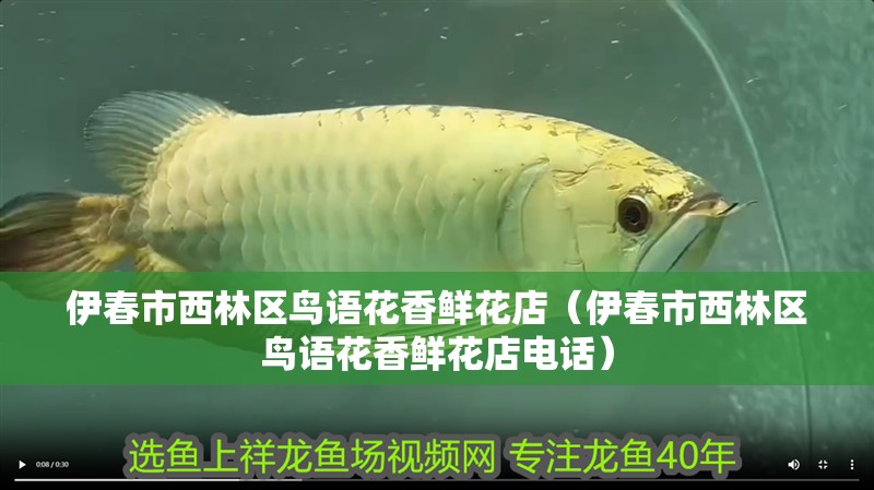 <strong><mark>伊春</mark></strong>市西林區鳥語花香鮮花店（<strong><mark>伊春</mark></strong>市西林區鳥語花香鮮花店電話）