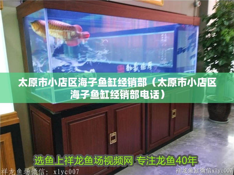 太原市小店區海子魚缸經銷部（太原市小店區海子魚缸經銷部電話）