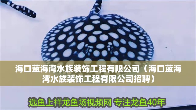 海口藍海灣水族裝飾工程有限公司（海口藍海灣水族裝飾工程有限公司招聘）