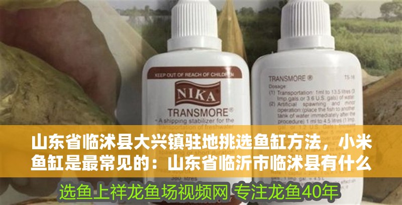 詳細(xì)閱讀:山東省臨沭縣大興鎮(zhèn)駐地挑選魚(yú)缸方法,小米魚(yú)缸是最常見(jiàn)的:山東省臨沂市臨沭縣有什么好的魚(yú)缸推薦? 山東省臨沭縣大興鎮(zhèn)駐地挑選魚(yú)缸方法,小米魚(yú)缸是最常見(jiàn)的:山東省臨沂市臨沭縣有什么好的魚(yú)缸推薦?