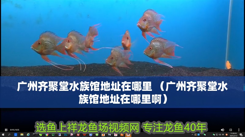 廣州齊聚堂水族館地址在哪里 （廣州齊聚堂水族館地址在哪里啊）