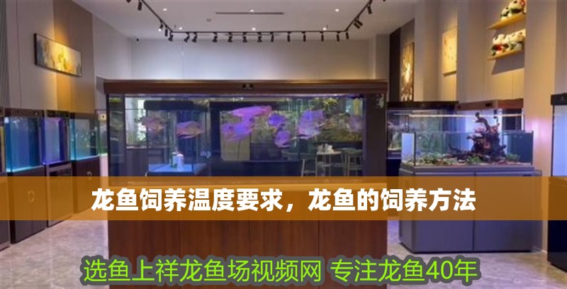 龍魚怕什么 龍魚飼養溫度要求,龍魚的飼養方法 龍魚百科 龍魚飼養溫度要求,龍魚的飼養方法 龍魚飼養溫度要求,龍魚的飼養方法 龍魚百科