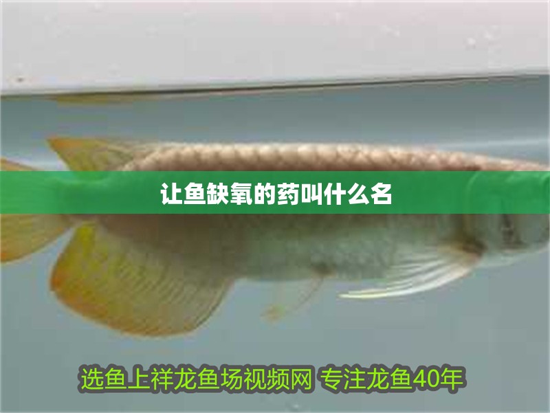 讓魚缺氧的藥叫什么名