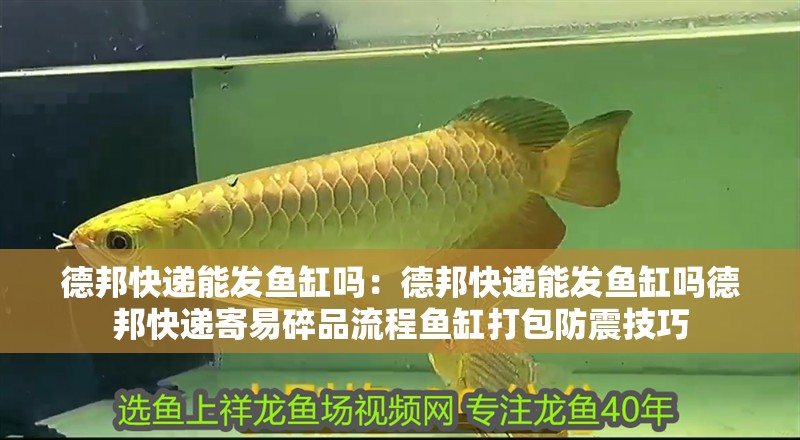 德邦快遞能發(fā)魚缸嗎：德邦快遞能發(fā)魚缸嗎德邦快遞寄易碎品流程魚缸打包防震技巧