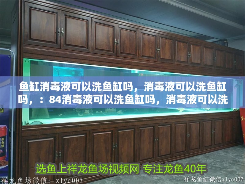 魚缸消毒液可以洗魚缸嗎，消毒液可以洗魚缸嗎，：84消毒液可以洗魚缸嗎，消毒液可以洗魚缸嗎，