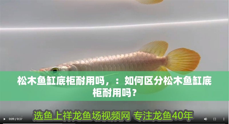 松木魚(yú)缸底柜耐用嗎，：如何區(qū)分松木魚(yú)缸底柜耐用嗎？