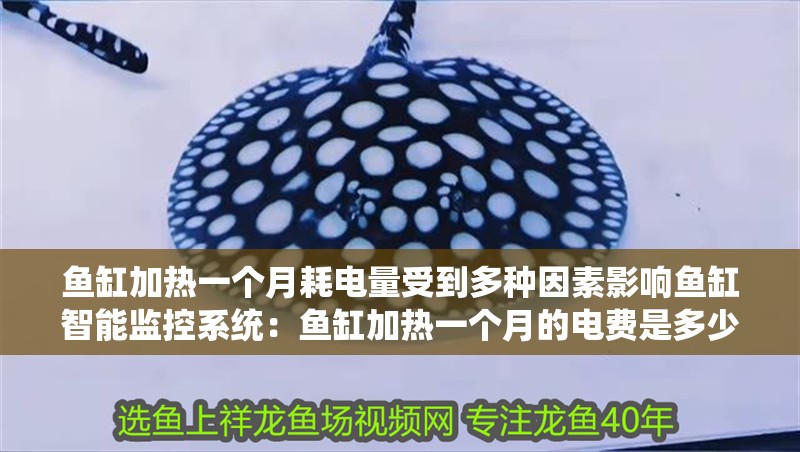 魚缸加熱一個月耗電量受到多種因素影響魚缸智能監控系統：魚缸加熱一個月的電費是多少？