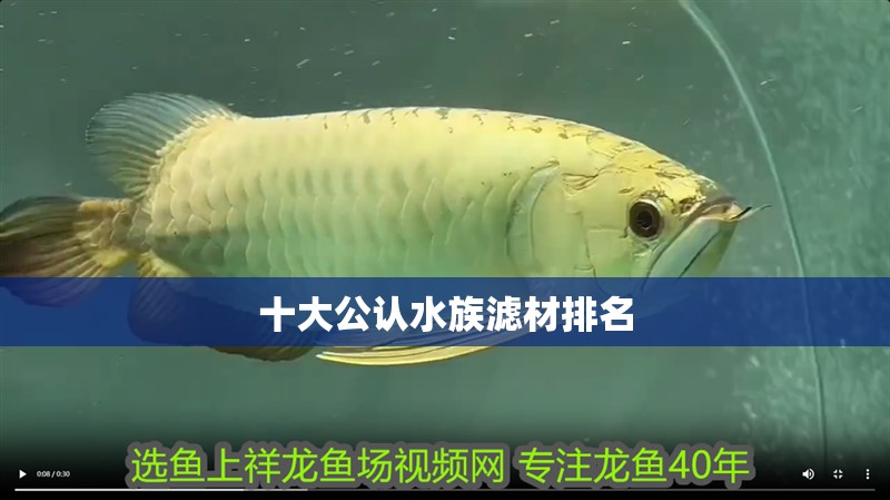 十大公認水族濾材排名